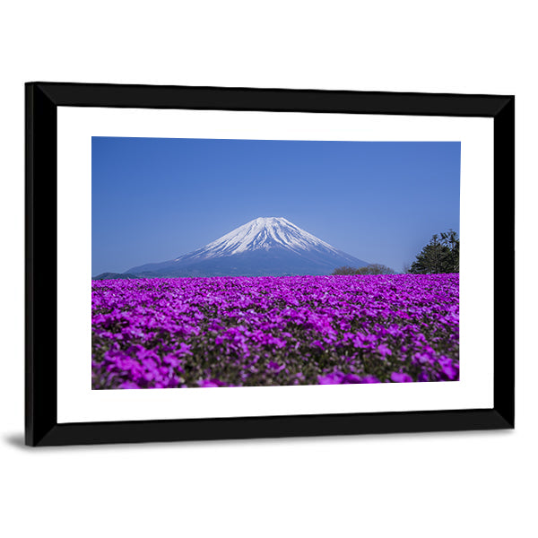 Mount Fuji In Spring Canvas Wall Art-1 Piece-Framed Print-20" x 16"-Tiaracle