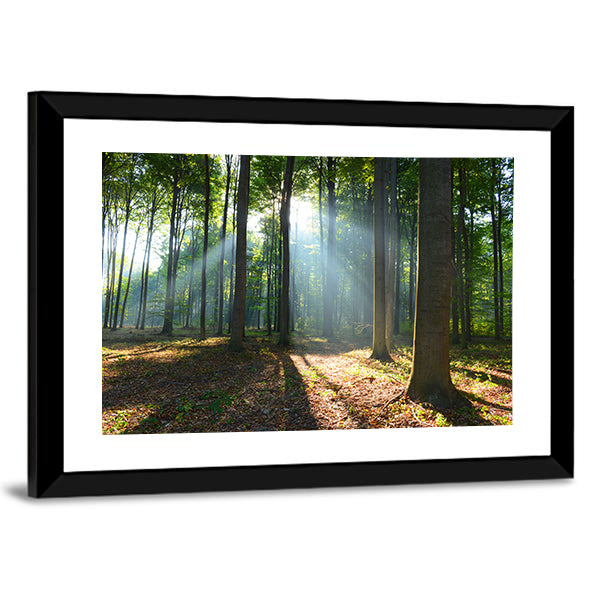 Morning In The Forest Canvas Wall Art-1 Piece-Framed Print-20" x 16"-Tiaracle