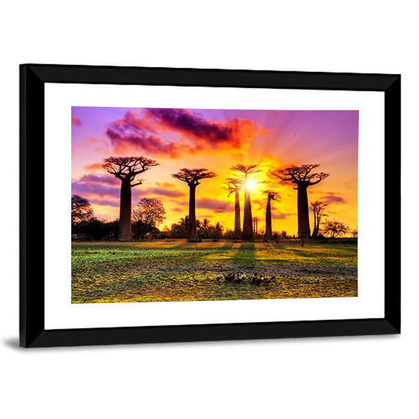 Baobab Trees At Sunset Canvas Wall Art-1 Piece-Framed Print-30" x 20"-Tiaracle