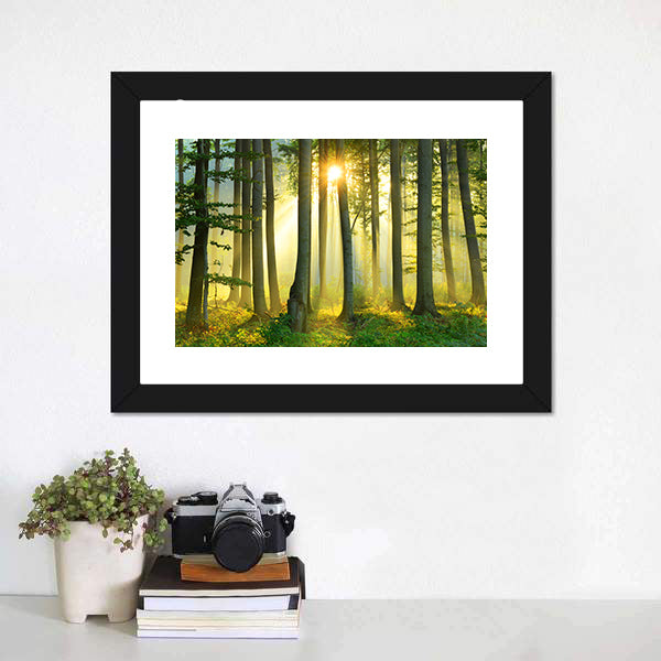 Forest Morning Canvas Wall Art-5 Horizontal-Gallery Wrap-22" x 12"-Tiaracle