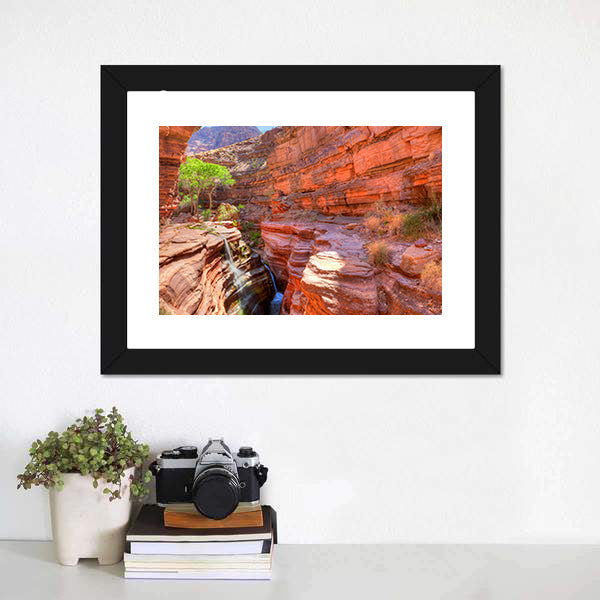 Deer Creek Canyon Canvas Wall Art