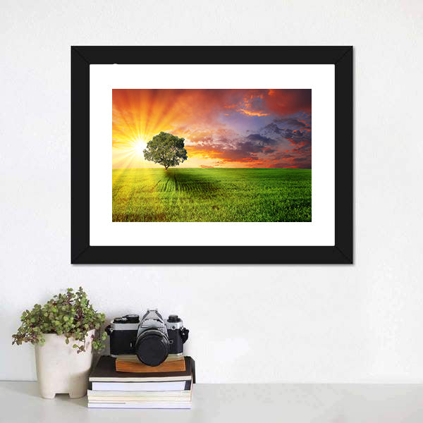 Alone Tree On Green Meadow Canvas Wall Art-5 Horizontal-Gallery Wrap-22" x 12"-Tiaracle