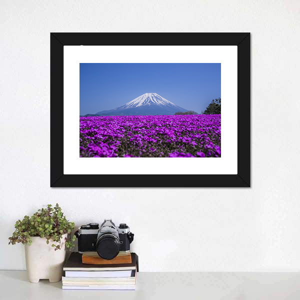 Mount Fuji In Spring Canvas Wall Art-5 Horizontal-Gallery Wrap-22" x 12"-Tiaracle