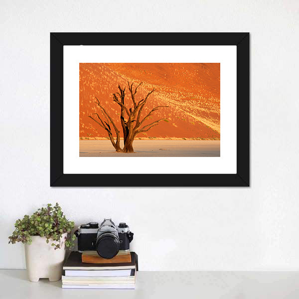 Leafless Camel Thorn Tree on Red Sand Dune, Namibia Canvas Wall Art