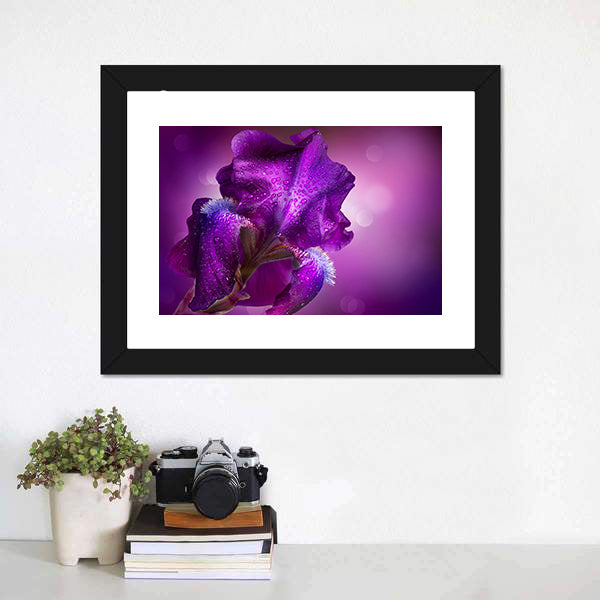 Elegant Purple Iris Macro Photography Canvas Wall Art