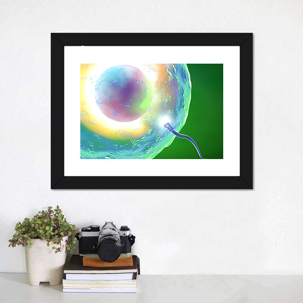 Conception: Ovum and Sperm Canvas Wall Art