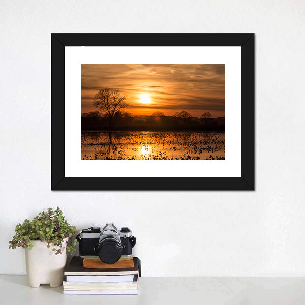 Lake Near Forest At Sunset Canvas Wall Art