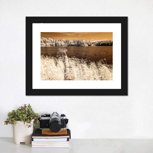 Forest Lake In Summer Day Canvas Wall Art-5 Horizontal-Gallery Wrap-22" x 12"-Tiaracle