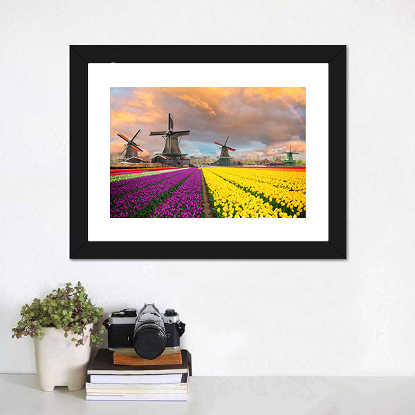 Purple and Yellow Tulip Fields with Windmills Canvas Wall Art