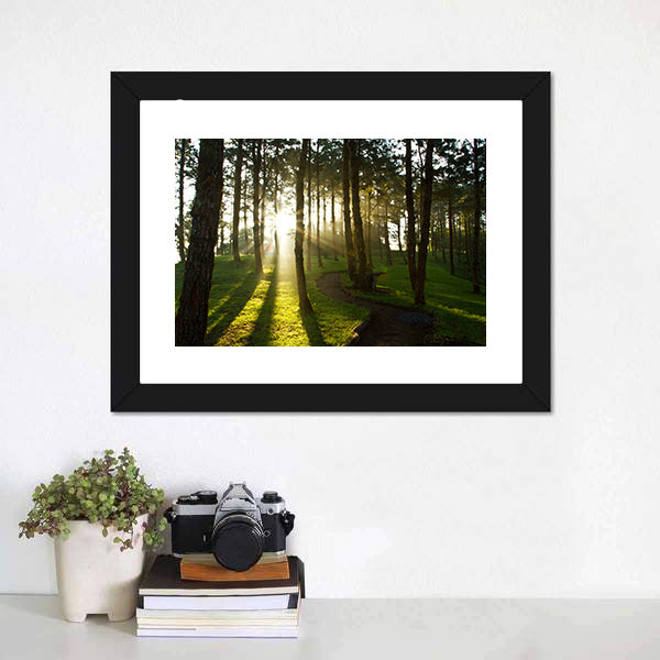 Morning In Pine Forest Canvas Wall Art-5 Horizontal-Gallery Wrap-22&quot; x 12&quot;-Tiaracle