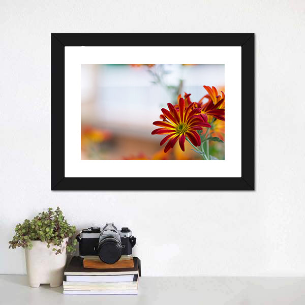 Chrysanthemum Under Sky Canvas Wall Art-3 Horizontal-Gallery Wrap-25" x 16"-Tiaracle