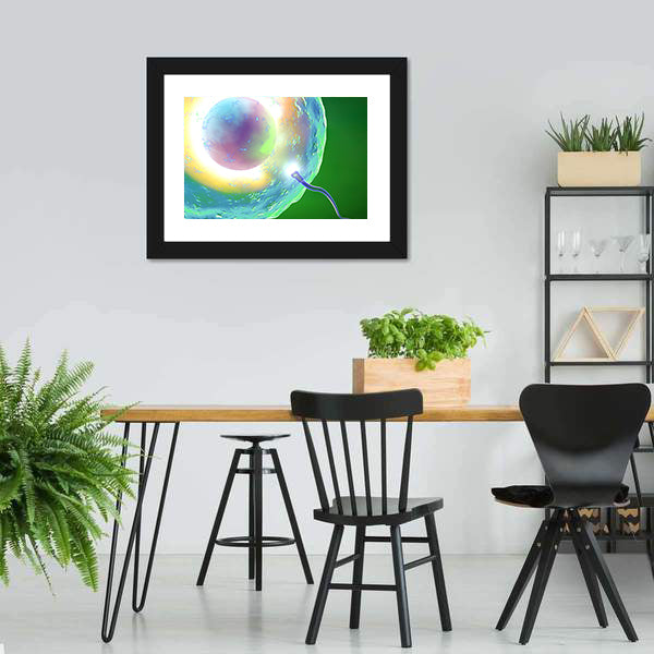 Conception: Ovum and Sperm Canvas Wall Art