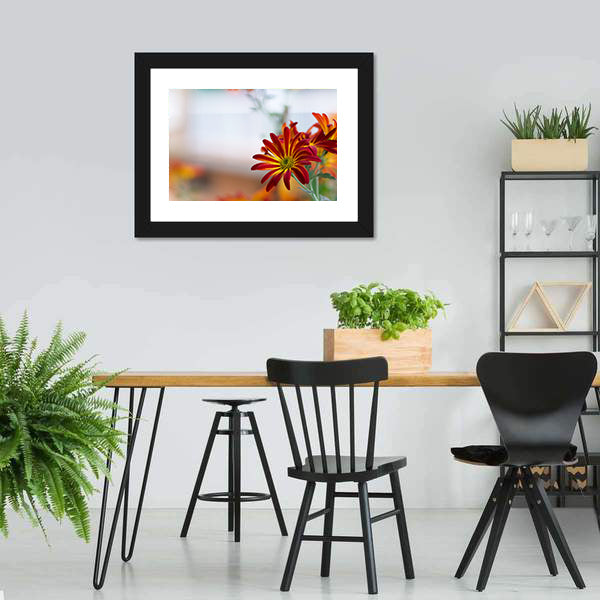 Chrysanthemum Under Sky Canvas Wall Art-3 Horizontal-Gallery Wrap-25" x 16"-Tiaracle