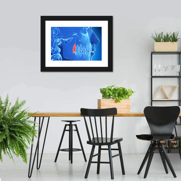 Human Teeth Anatomy Illustration Canvas Wall Art