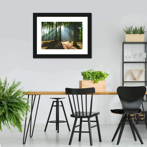 Morning In The Forest Canvas Wall Art-5 Horizontal-Gallery Wrap-22" x 12"-Tiaracle