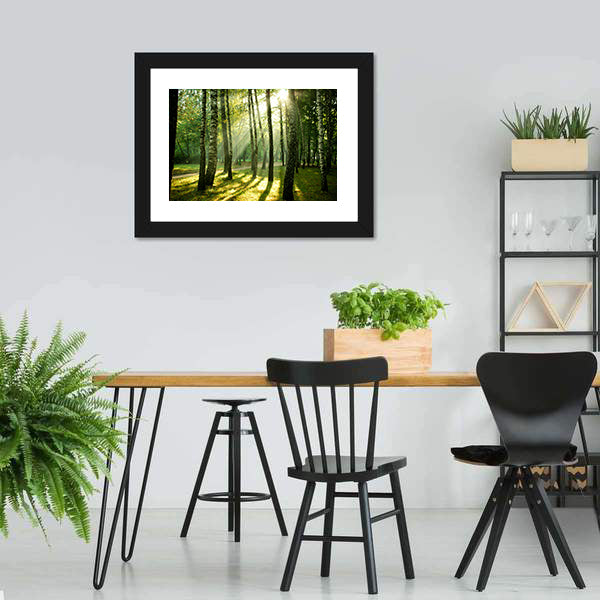 Autumn Morning in a Birch Forest Canvas Wall Art