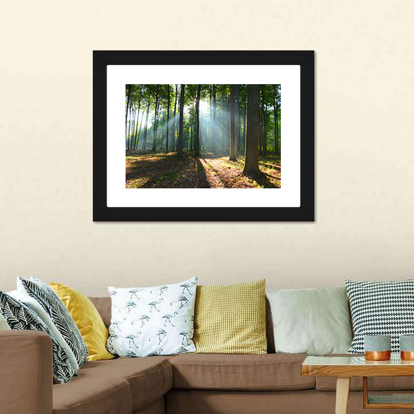 Morning In The Forest Canvas Wall Art-5 Horizontal-Gallery Wrap-22" x 12"-Tiaracle