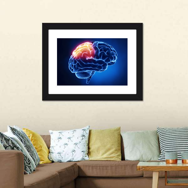 Human Brain X-ray Close-up Canvas Wall Art