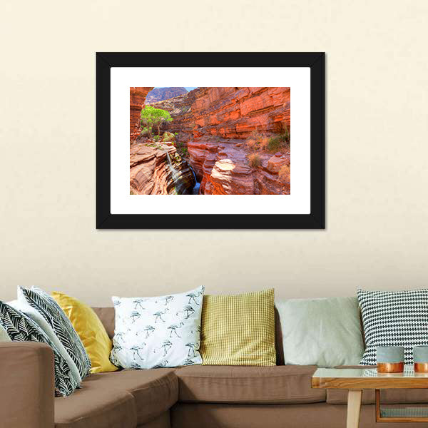 Deer Creek Canyon Canvas Wall Art