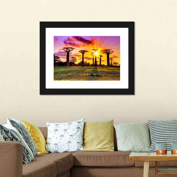 Baobab Trees At Sunset Canvas Wall Art-5 Horizontal-Gallery Wrap-22" x 12"-Tiaracle
