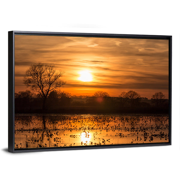 Lake Near Forest At Sunset Canvas Wall Art