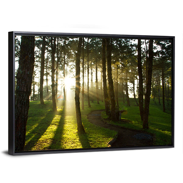Morning In Pine Forest Canvas Wall Art-1 Piece-Floating Frame-24" x 16"-Tiaracle