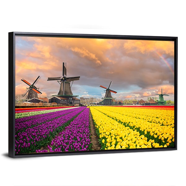 Tulip Fields and Dutch Windmills at Sunset Canvas Wall Art
