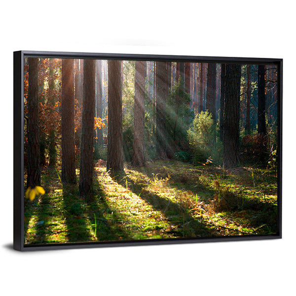 Old Autumn Forest Canvas Wall Art-1 Piece-Floating Frame-24" x 16"-Tiaracle