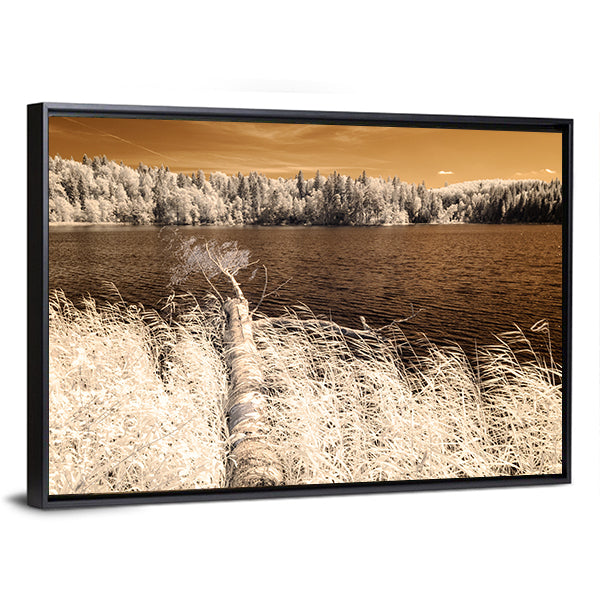 Forest Lake In Summer Day Canvas Wall Art-1 Piece-Floating Frame-36" x 24"-Tiaracle