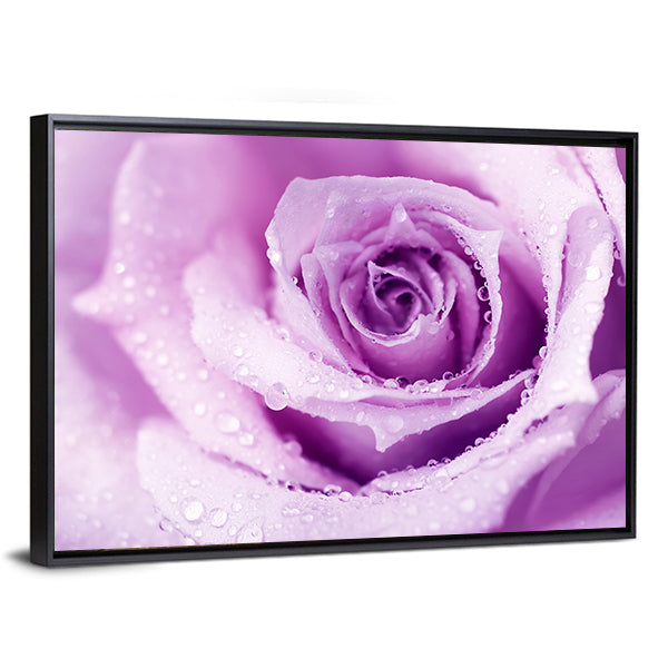 Abstract Purple Rose with Dew Drops Canvas Wall Art