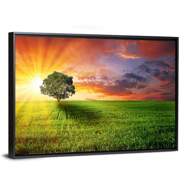 Alone Tree On Green Meadow Canvas Wall Art-1 Piece-Floating Frame-36" x 24"-Tiaracle