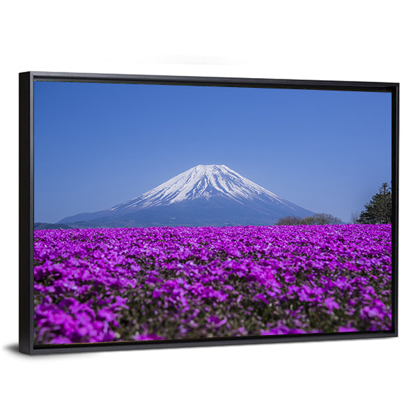 Mount Fuji In Spring Canvas Wall Art-1 Piece-Floating Frame-24" x 16"-Tiaracle