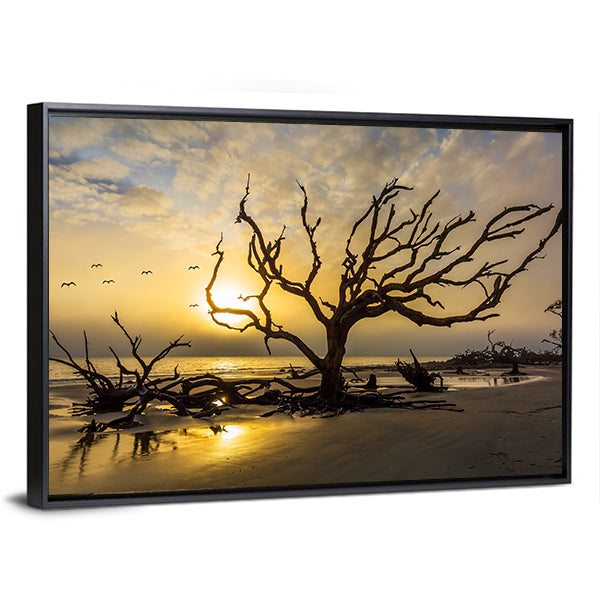 Driftwood Covered Beach Canvas Wall Art-1 Piece-Floating Frame-24" x 16"-Tiaracle