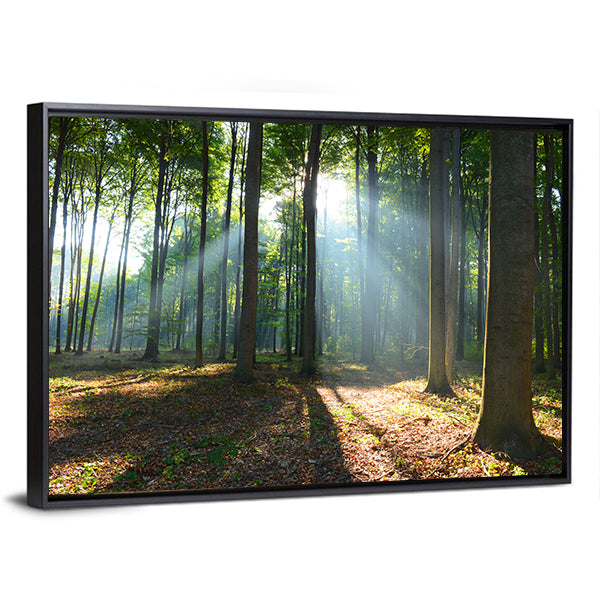 Morning In The Forest Canvas Wall Art-1 Piece-Floating Frame-24&quot; x 16&quot;-Tiaracle