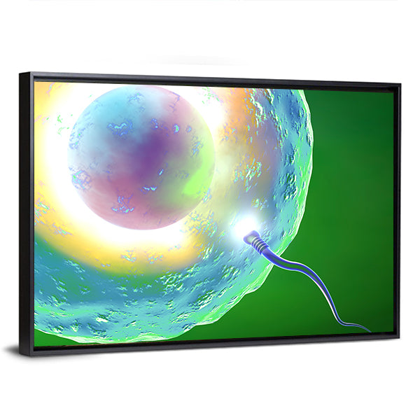 Conception: Ovum and Sperm Canvas Wall Art