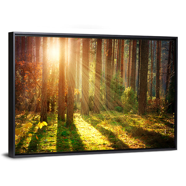 Misty Old Forest Autumn Canvas Wall Art-1 Piece-Floating Frame-24" x 16"-Tiaracle