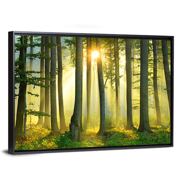 Forest Morning Canvas Wall Art-1 Piece-Floating Frame-24&quot; x 16&quot;-Tiaracle