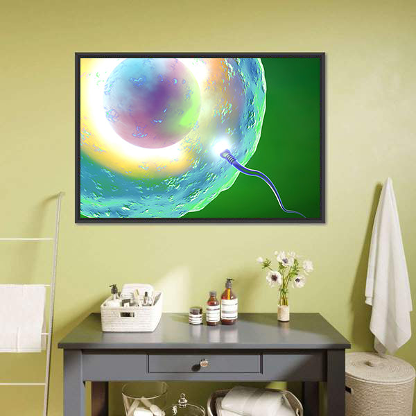 Conception: Ovum and Sperm Canvas Wall Art