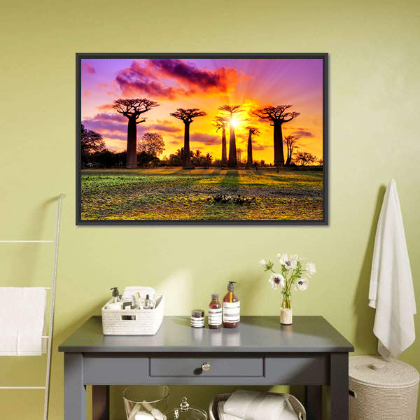 Baobab Trees At Sunset Canvas Wall Art-5 Horizontal-Gallery Wrap-22" x 12"-Tiaracle