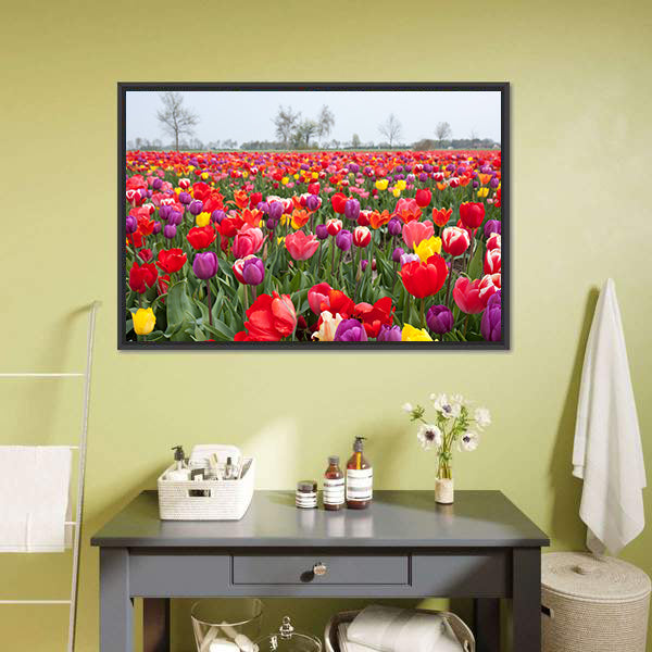 Coloured Tulips Canvas Wall Art-5 Horizontal-Gallery Wrap-22" x 12"-Tiaracle