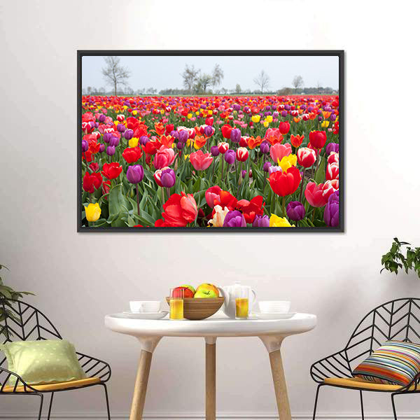 Coloured Tulips Canvas Wall Art-5 Horizontal-Gallery Wrap-22" x 12"-Tiaracle