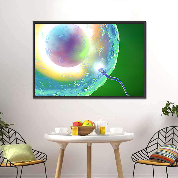 Conception: Ovum and Sperm Canvas Wall Art