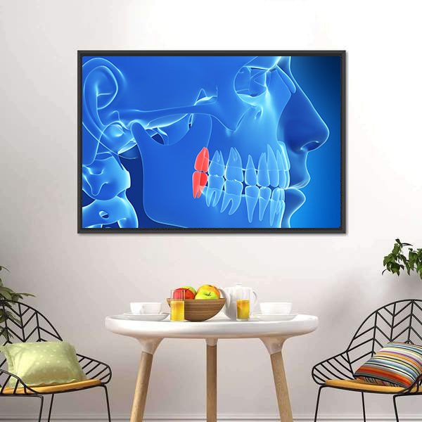 Human Teeth Anatomy Illustration Canvas Wall Art