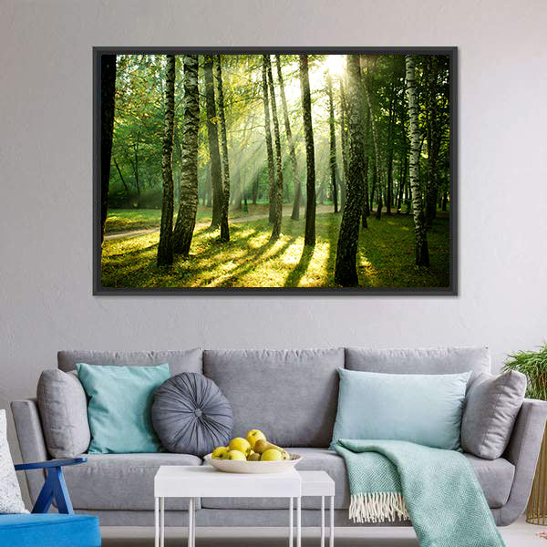 Autumn Morning in a Birch Forest Canvas Wall Art