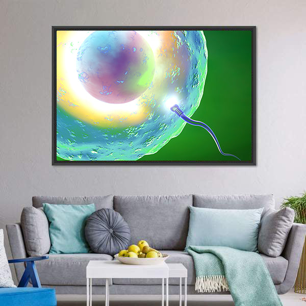 Conception: Ovum and Sperm Canvas Wall Art