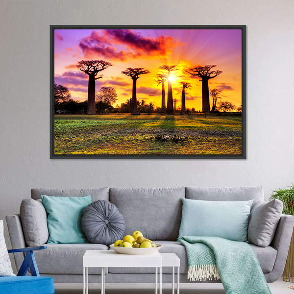 Baobab Trees At Sunset Canvas Wall Art-5 Horizontal-Gallery Wrap-22" x 12"-Tiaracle