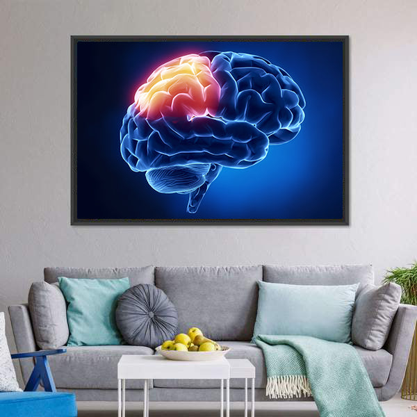 Human Brain X-ray Close-up Canvas Wall Art