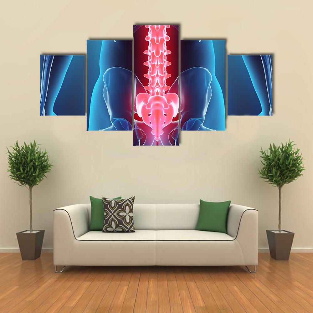 Spine Illustration Canvas Wall Art-5 Star-Gallery Wrap-42" x 21"-Tiaracle