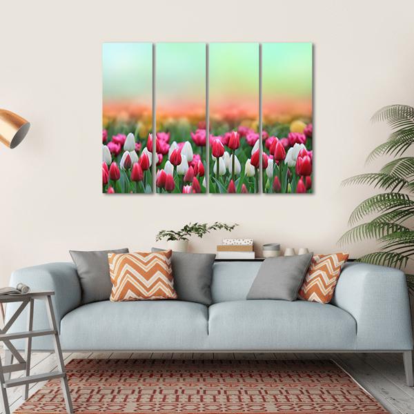 Beautiful Tulips Field Canvas Wall Art-4 Horizontal-Gallery Wrap-34" x 24"-Tiaracle