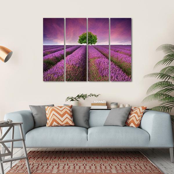 Lavender Field In Summer Canvas Wall Art-4 Horizontal-Gallery Wrap-34" x 24"-Tiaracle